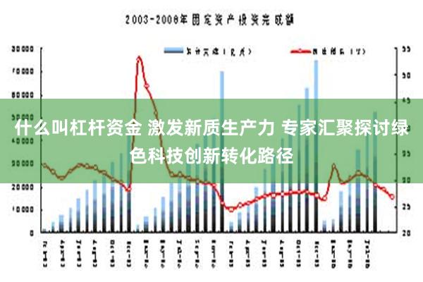 什么叫杠杆资金 激发新质生产力 专家汇聚探讨绿色科技创新转化路径