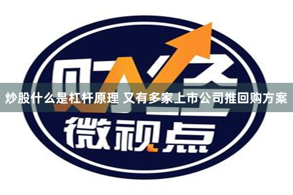 炒股什么是杠杆原理 又有多家上市公司推回购方案