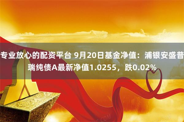 专业放心的配资平台 9月20日基金净值：浦银安盛普瑞纯债A最新净值1.0255，跌0.02%