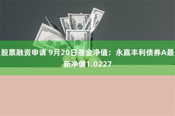 股票融资申请 9月20日基金净值：永赢丰利债券A最新净值1.0227