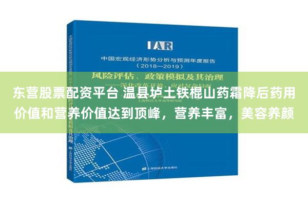 东营股票配资平台 温县垆土铁棍山药霜降后药用价值和营养价值达到顶峰，营养丰富，美容养颜