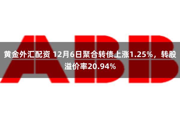 黄金外汇配资 12月6日聚合转债上涨1.25%，转股溢价率20.94%