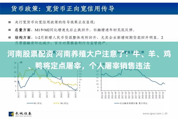 河南股票配资 河南养殖大户注意了：牛、羊、鸡、鸭将定点屠宰，个人屠宰销售违法